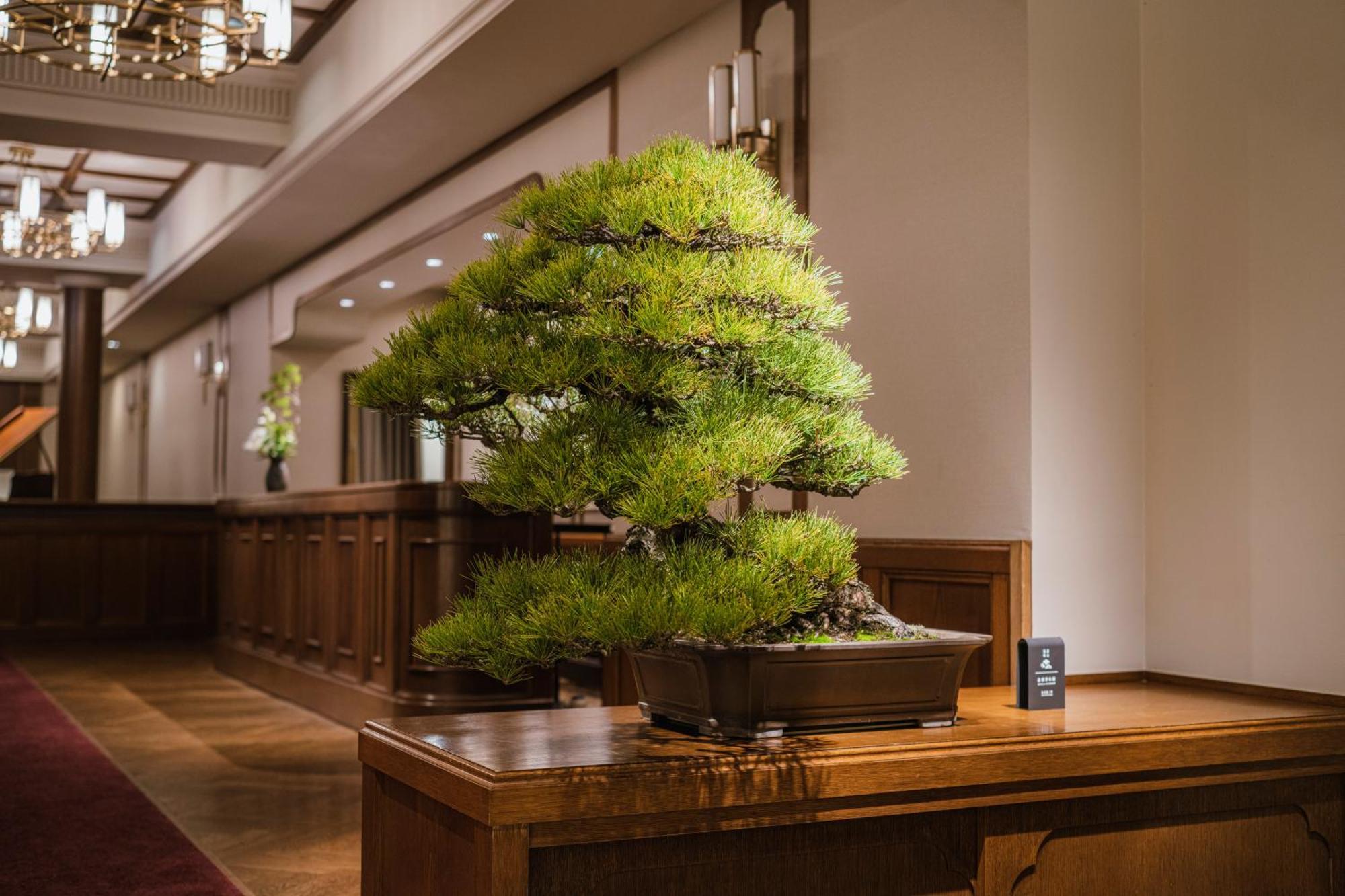 Hotel Shinzan Kinosaki à Toyooka  Extérieur photo