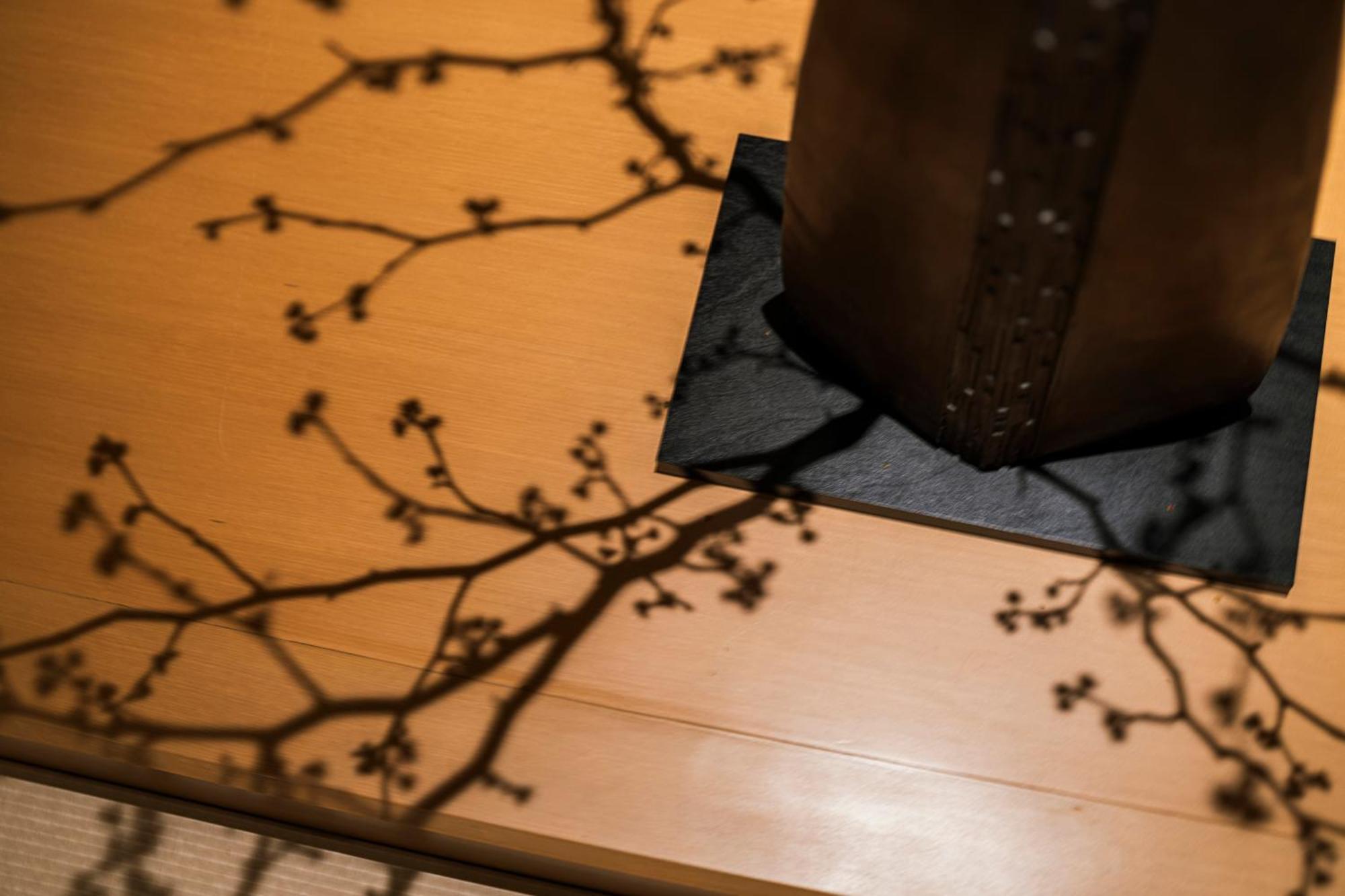 Hotel Shinzan Kinosaki à Toyooka  Extérieur photo
